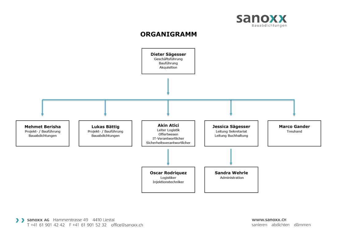 Organigramm sanoxx AG